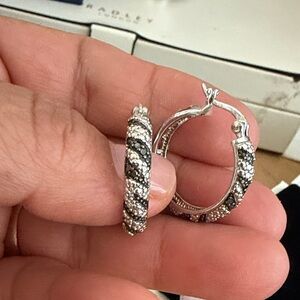 Elegant Silver and Black Hoop Earrings